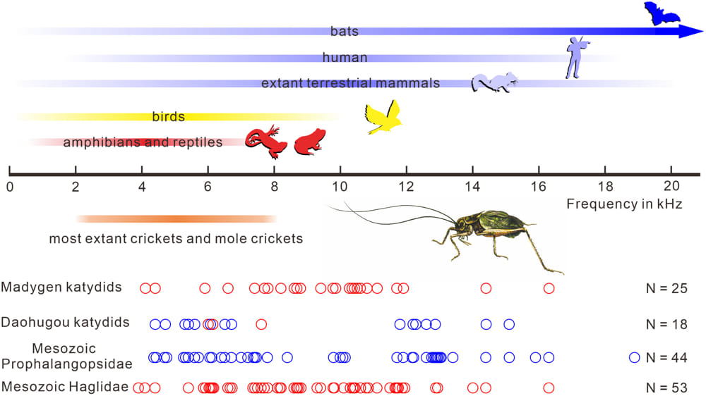Диапазоны слышимости современных позвоночных, сверчков и кузнечиков