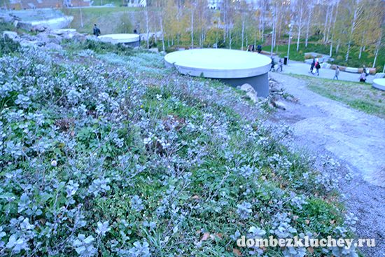 Парк Зарядье в Москве: впечатления ландшафтного дизайнера от посещения