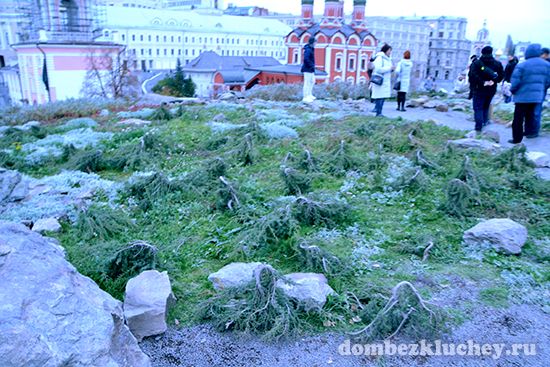 Парк Зарядье в Москве: впечатления ландшафтного дизайнера от посещения