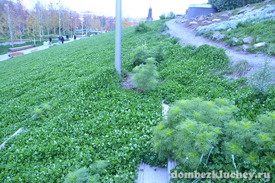 Парк Зарядье в Москве: впечатления ландшафтного дизайнера от посещения